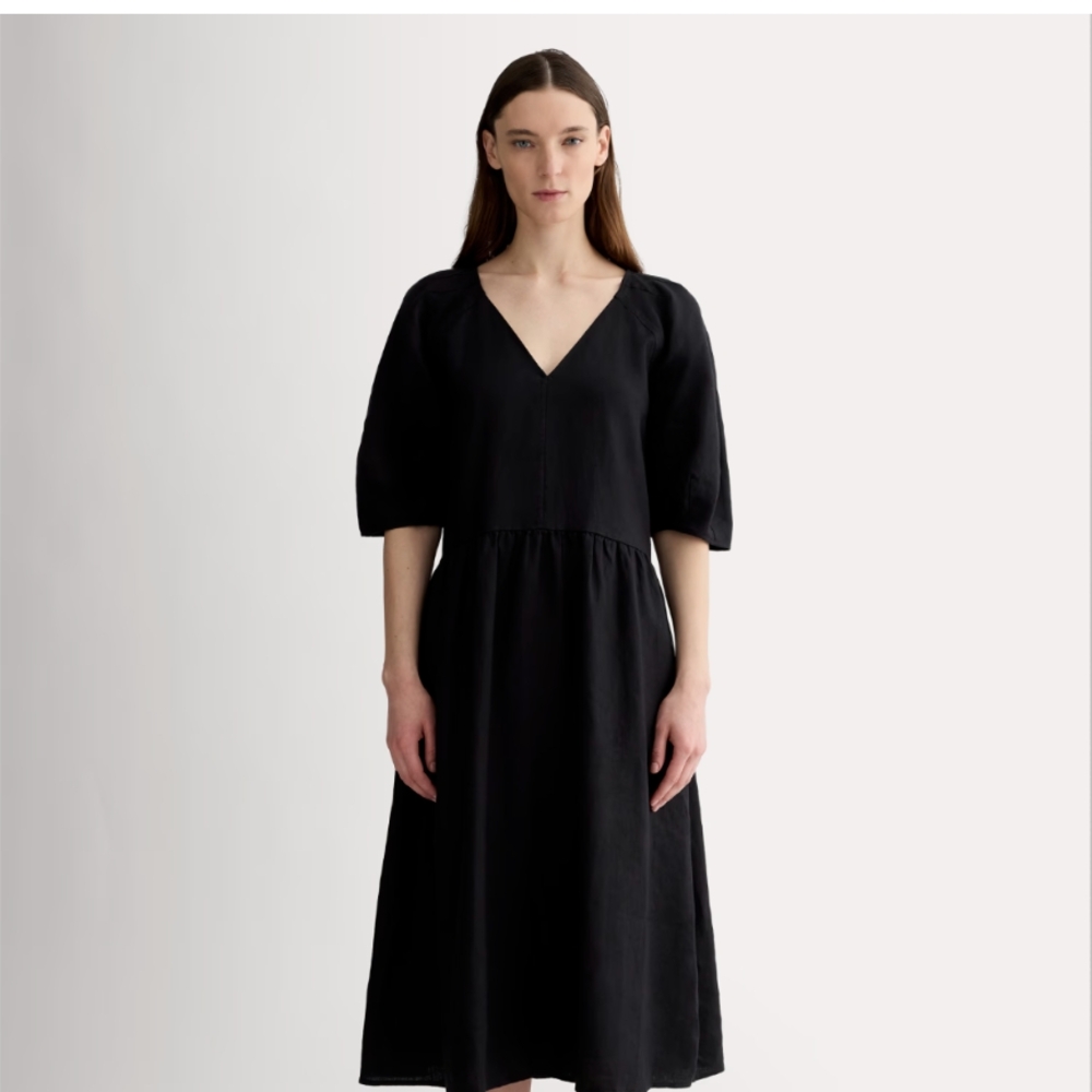 Everlane Oversized Puff Sleeve Linen Dress